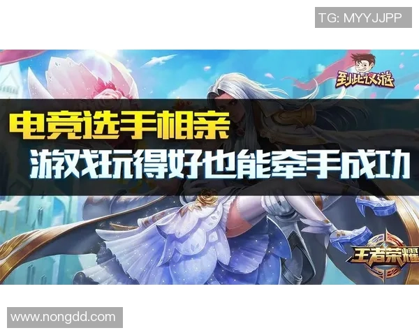 王者荣耀焦点解析：深度剖析WE战队的实力与战术演变